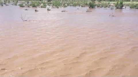 Watch: Tucson streams come alive after monsoon rains